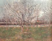 Vincent Van Gogh, Orchard in Blossom (nn04)